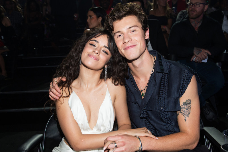 Shawn Mendes Kesepian Setelah Putus dengan Camila Cabello